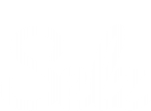 selz_logo_white